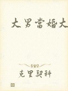 大男当婚大结局