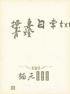 撩妻日常txt青灯