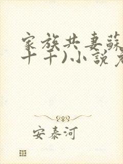 家族共妻苏苏(十千)小说免费