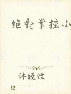 绝对掌控小说