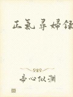 正气寻妇录