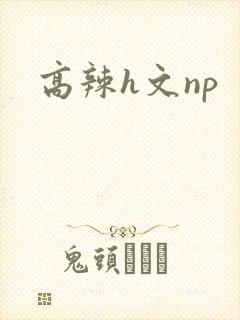 高辣h文np