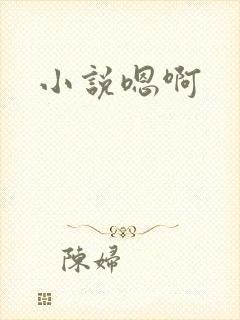 小说嗯啊