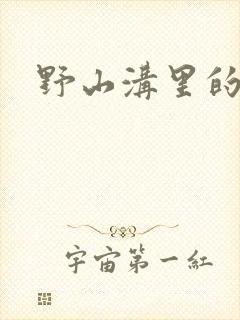 野山沟里的村庄