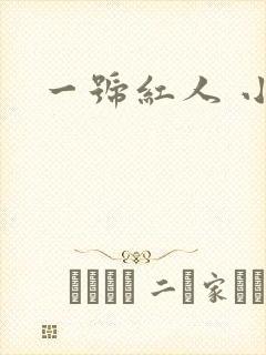 一号红人 小说