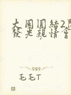 大团圆结2闪闪发光亲情会