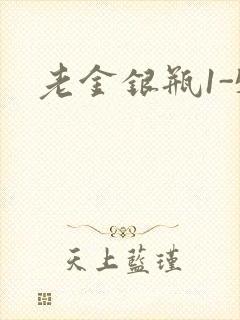 老金银瓶1-5