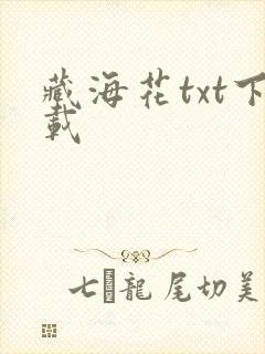 藏海花txt下载