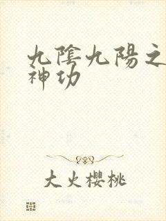 九阴九阳之阴阳神功