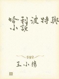 哈利波特与密室小说