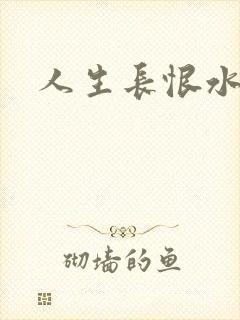 人生长恨水长东