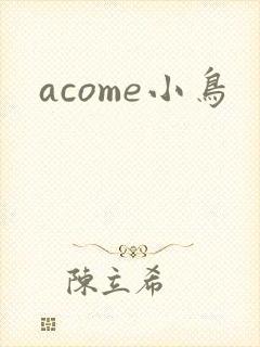 acome小鸟
