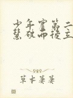 少年宾第二部珏慧破而后立