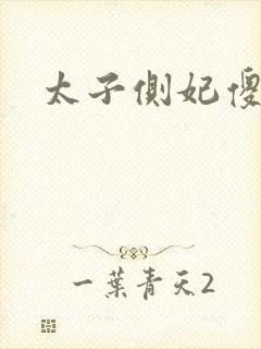 太子侧妃傻乎乎