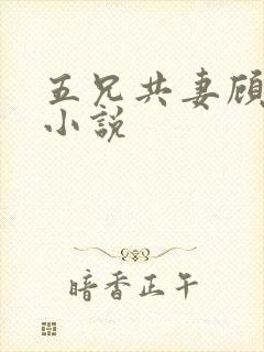 五兄共妻顾心儿小说