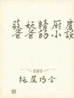 苏妖精厨房爹爹爸爸的小说