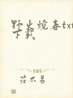 野火烧春txt下载