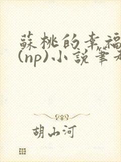 苏桃的幸福生活(np)小说笔趣阁沐沐