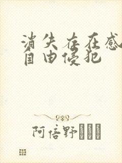 消失存在感消失自由侵犯