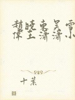 赵晓东吴雪晴郑伟王潇潇小说