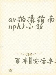av拍摄指南(nph)小说