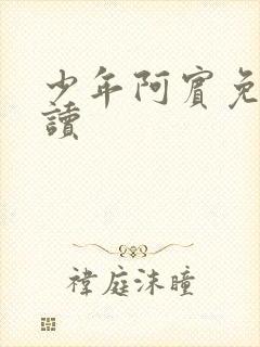 少年阿宾免费阅读