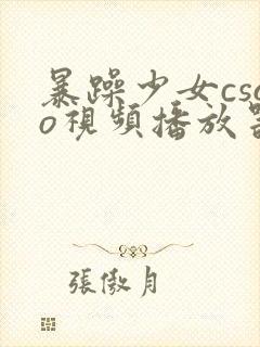 暴躁少女csgo视频播放器推荐