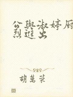 公与淑婷厨房猛烈进出