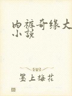 内裤奇缘大团结小说