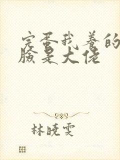 完蛋我养的小白脸是大佬