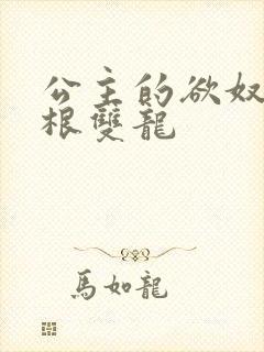 公主的欲奴h四根双龙