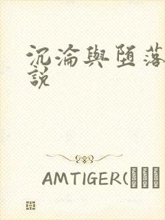 沉沦与堕落的小说