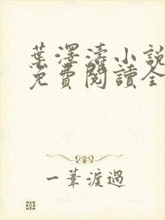 叶泽涛小说全文免费阅读全文