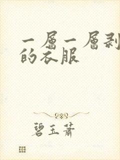 一层一层剥开你的衣服