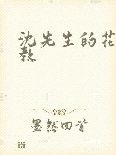 沈先生的花式管教