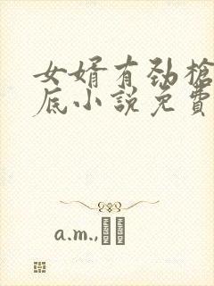 女婿有劲枪枪到底小说免费看