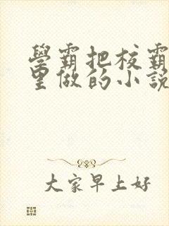 学霸把校霸往死里做的小说