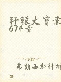 轩辕大宝袁雪妃674章