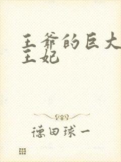 王爷的巨大进入王妃