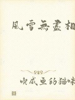 风雪无尽相思情