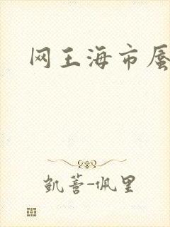 网王海市蜃楼
