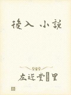 后入 小说