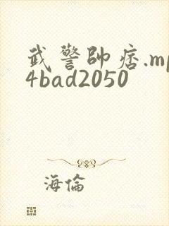武警帅痞.mp4bad2050