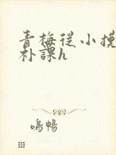 青梅从小摸到大补课h