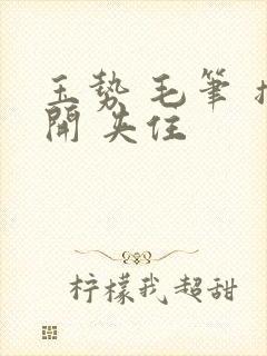 玉势 毛笔 撑开 夹住