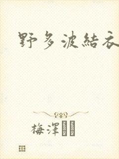 野多波结衣