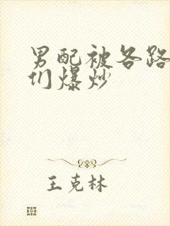 男配被各路大佬们爆炒