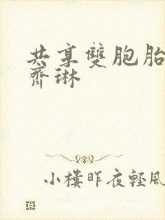 共享双胞胎齐娜齐琳