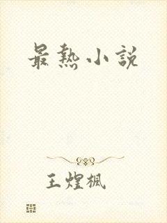 最热小说