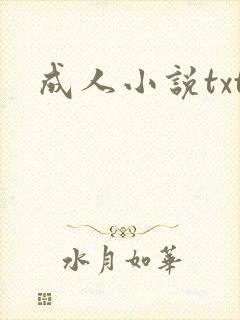 成人小说txt